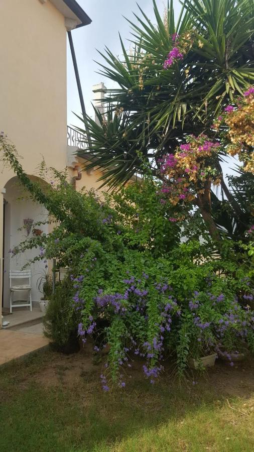 B&B Villa Orchidea Olbia Zewnętrze zdjęcie