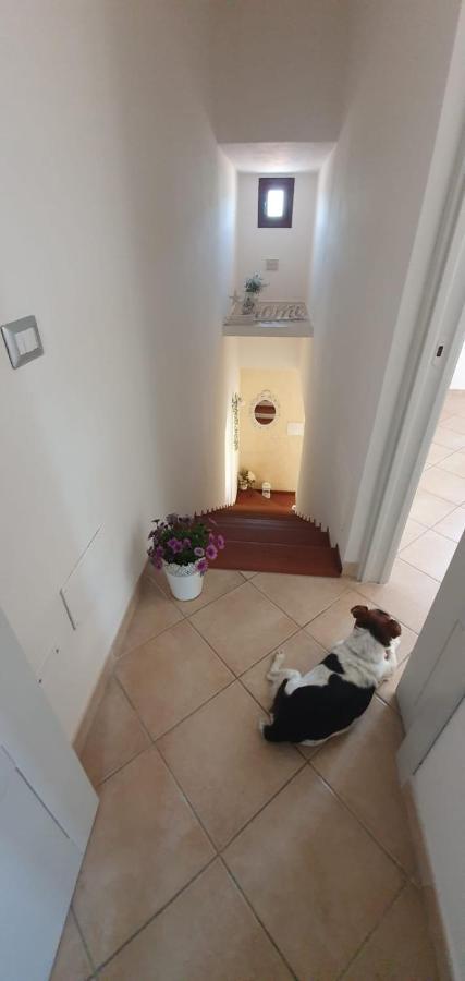 B&B Villa Orchidea Olbia Zewnętrze zdjęcie