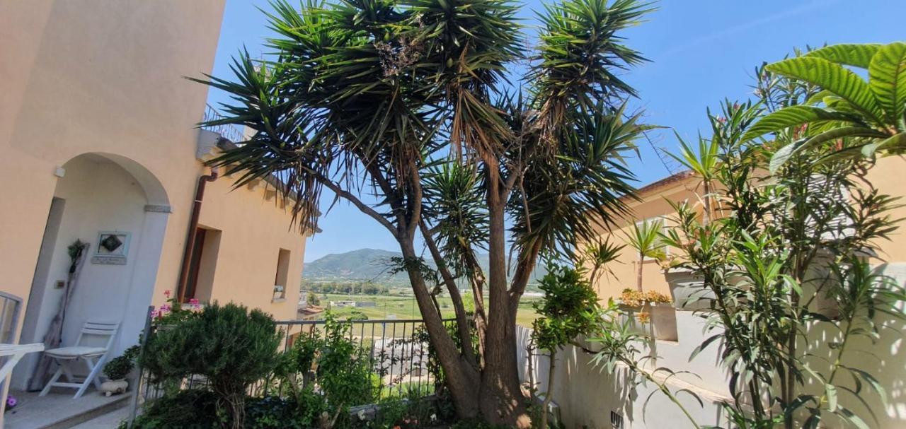 B&B Villa Orchidea Olbia Zewnętrze zdjęcie